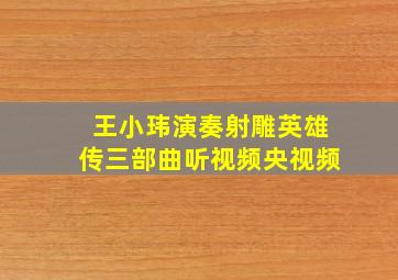 王小玮演奏射雕英雄传三部曲听视频央视频