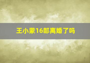 王小蒙16部离婚了吗