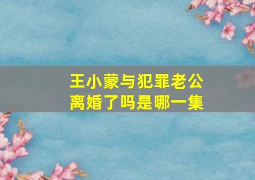 王小蒙与犯罪老公离婚了吗是哪一集