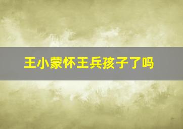 王小蒙怀王兵孩子了吗