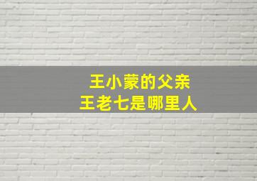 王小蒙的父亲王老七是哪里人