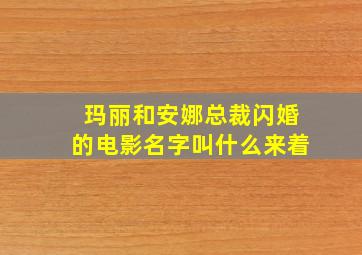 玛丽和安娜总裁闪婚的电影名字叫什么来着