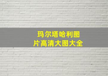 玛尔塔哈利图片高清大图大全