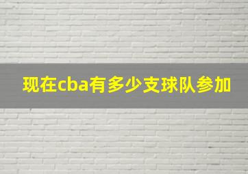 现在cba有多少支球队参加