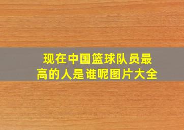 现在中国篮球队员最高的人是谁呢图片大全