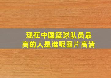 现在中国篮球队员最高的人是谁呢图片高清