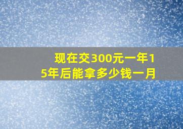 现在交300元一年15年后能拿多少钱一月