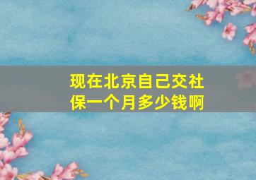 现在北京自己交社保一个月多少钱啊