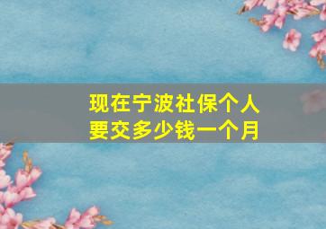 现在宁波社保个人要交多少钱一个月