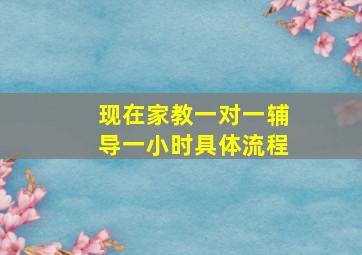 现在家教一对一辅导一小时具体流程