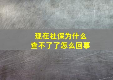 现在社保为什么查不了了怎么回事