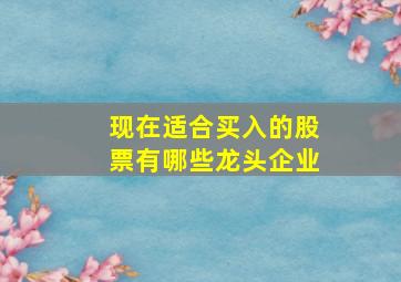 现在适合买入的股票有哪些龙头企业