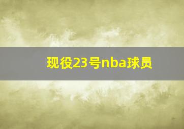 现役23号nba球员