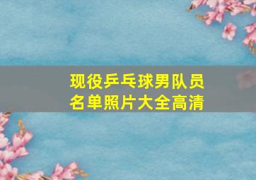 现役乒乓球男队员名单照片大全高清