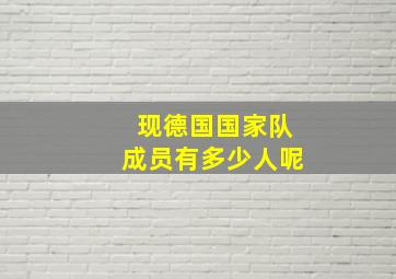 现德国国家队成员有多少人呢