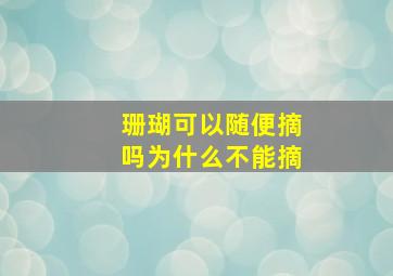 珊瑚可以随便摘吗为什么不能摘