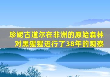 珍妮古道尔在非洲的原始森林对黑猩猩进行了38年的观察