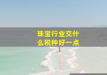 珠宝行业交什么税种好一点