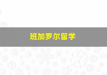 班加罗尔留学