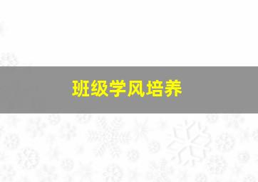 班级学风培养