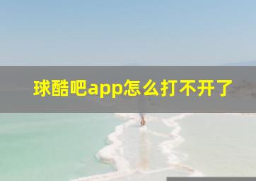 球酷吧app怎么打不开了