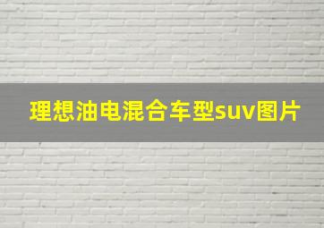 理想油电混合车型suv图片