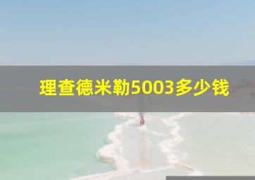 理查德米勒5003多少钱