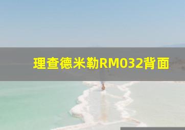 理查德米勒RM032背面