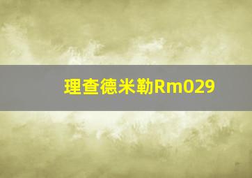 理查德米勒Rm029