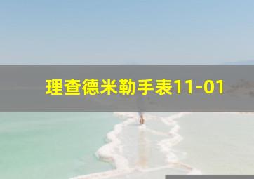 理查德米勒手表11-01