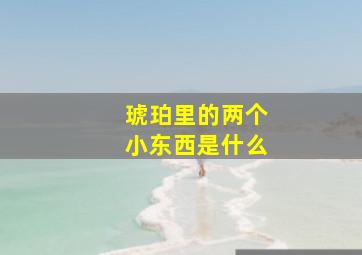 琥珀里的两个小东西是什么