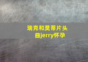 瑞克和莫蒂片头曲jerry怀孕