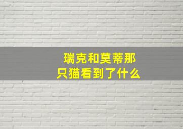 瑞克和莫蒂那只猫看到了什么