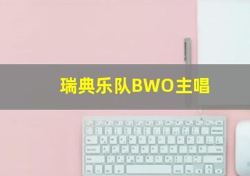 瑞典乐队BWO主唱