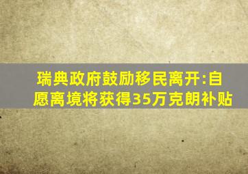 瑞典政府鼓励移民离开:自愿离境将获得35万克朗补贴