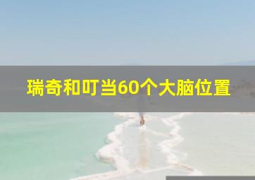 瑞奇和叮当60个大脑位置