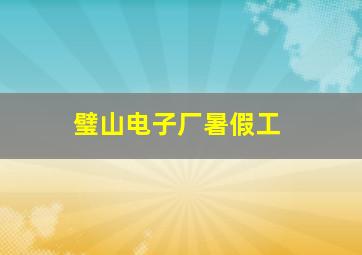 璧山电子厂暑假工