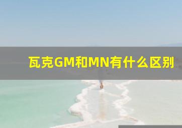 瓦克GM和MN有什么区别