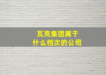 瓦克集团属于什么档次的公司