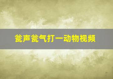 瓮声瓮气打一动物视频