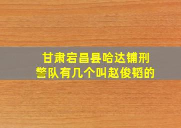 甘肃宕昌县哈达铺刑警队有几个叫赵俊韬的