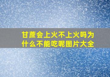 甘蔗会上火不上火吗为什么不能吃呢图片大全