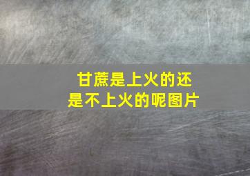 甘蔗是上火的还是不上火的呢图片