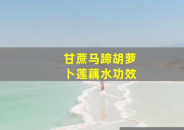 甘蔗马蹄胡萝卜莲藕水功效