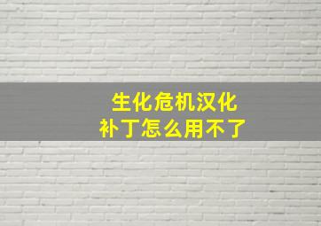 生化危机汉化补丁怎么用不了