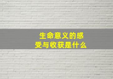 生命意义的感受与收获是什么