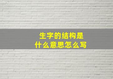 生字的结构是什么意思怎么写