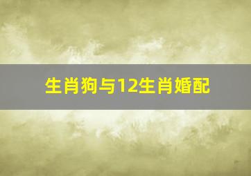 生肖狗与12生肖婚配