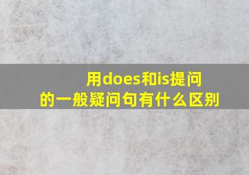 用does和is提问的一般疑问句有什么区别