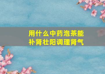 用什么中药泡茶能补肾壮阳调理肾气